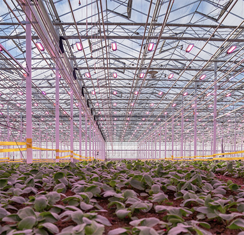 Static LED misses. Advanced Dynamic LED delivers.